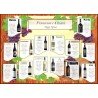 Tableau Marage tema Vino