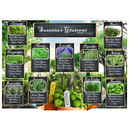 Tableau mariage piante aromatiche