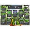 Tableau mariage piante aromatiche