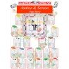 Tableau Mariage Tema Monopoli