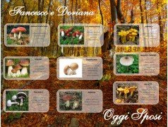 Tableau mariage tema Funghi