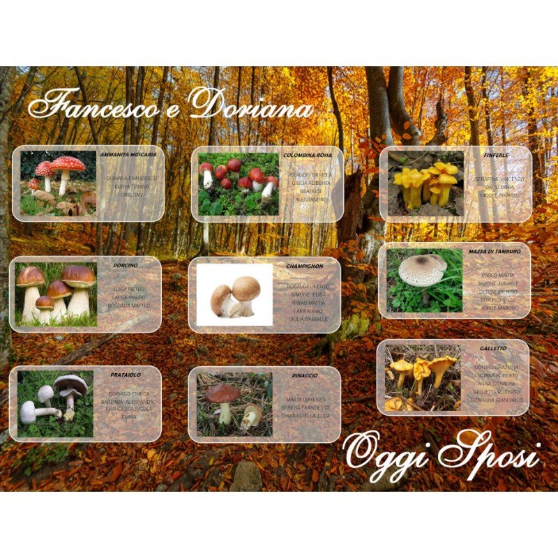 Tableau mariage tema Funghi