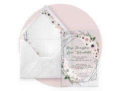 Partecipazione in Plexiglass