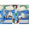 Stadio con scarpette da Calcio dell'Italia