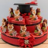 Torta di Bomboniere con gufi per laurea
