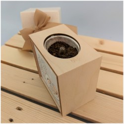 Bomboniere Green vista interna