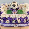 Bomboniere Calcio campo della Fiorentina