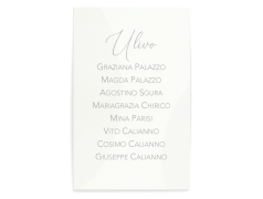 Partecipazioni da matrimonio verde con coordinato