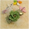 Rose Satinate Bomboniere Capodimonte con saponette verde salvia