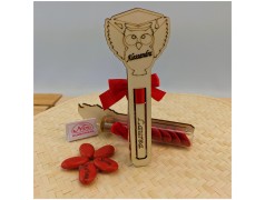 Provetta in vetro con gufetto segnalibro Bomboniere laurea