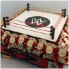 Bomboniere Wrestling WWE Raw Smack Down NEXT