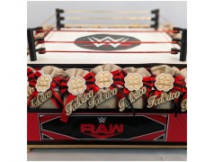 Bomboniere Wrestling WWE Raw Smack Down NEXT