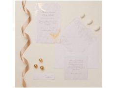 partecipazioni Claraluna 2025