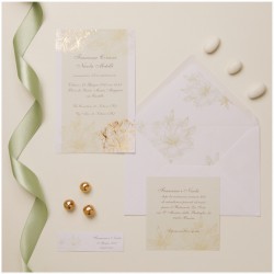 partecipazioni Claraluna 2025