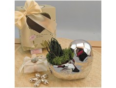 Bomboniere Anniversario cuore con piantina