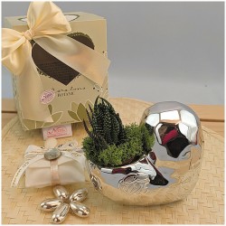 Bomboniere Anniversario cuore con piantina