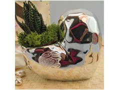 Bomboniere Anniversario cuore con piantina