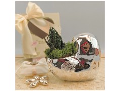 Bomboniere Anniversario cuore con piantina