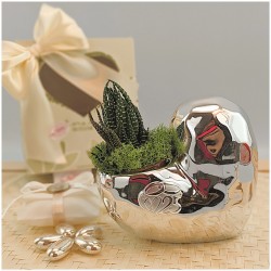 Bomboniere Anniversario cuore con piantina