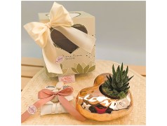 Bomboniere Con Piantine Nozze oro