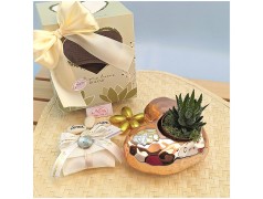 Bomboniere Con Piantine Nozze oro