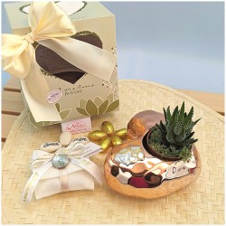 Bomboniere Con Piantine Nozze oro