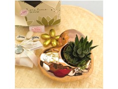 Bomboniere Con Piantine Nozze oro