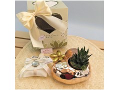 Bomboniere Con Piantine Nozze oro