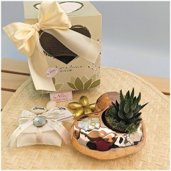 Bomboniere Con Piantine Nozze oro