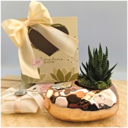 Bomboniere Con Piantine Nozze oro