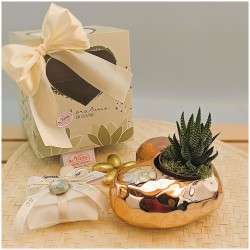 Bomboniere Con Piantine Nozze oro