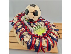 Stadio Porta bomboniere Bologna Calcio vista dall alto