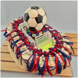 Stadio Porta bomboniere Bologna Calcio vista dall alto