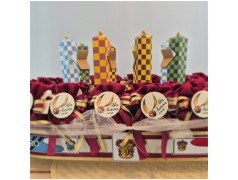 Bomboniere Harry potter su Campo da Quidditch