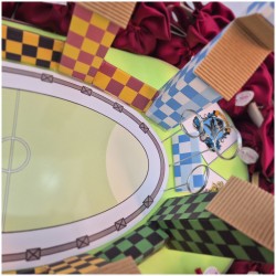 Bomboniere Harry potter su Campo da Quidditch particolare porte