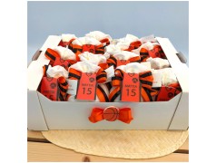 Sacchetti Bomboniere Basket Versilia vista dall alto