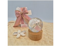 Mappamondo al led Medio