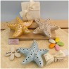 Bomboniere tema Mare Lampade led Stelle Marine Gialle azzurre Sabbia