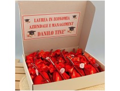 Penna a sfera rossa per laurea