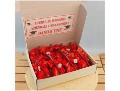 Penna a sfera rossa per laurea scatola