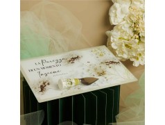 Tagliere in vetro con coltellino