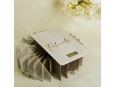 Bilancia rettangolare Claraluna