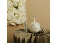 Diffusore Mappamondo Argento di Claralun