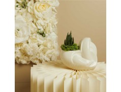 Cuore porta Piantina Bianco di Claraluna