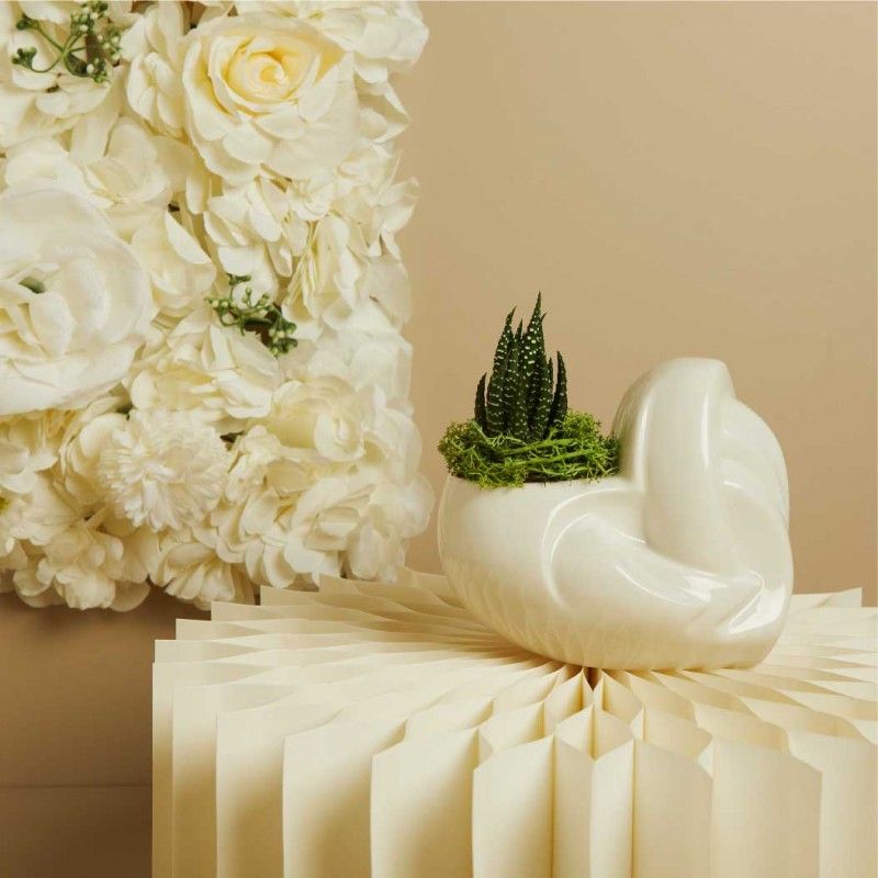 Cuore porta Piantina Bianco di Claraluna