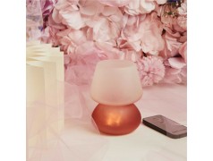 Bomboniera Claraluna 2026 Lampada Rosa 26184 con telecomando