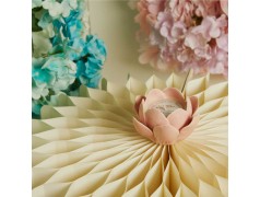 Candela Fiore Rosa di Claraluna