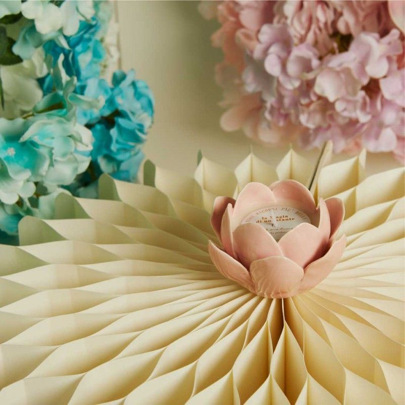 Candela Fiore Rosa di Claraluna