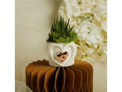 Bomboniera Vasetto Grande e Piantina Grassa