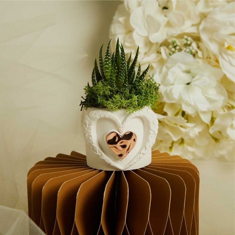 Bomboniera Vasetto Grande e Piantina Grassa